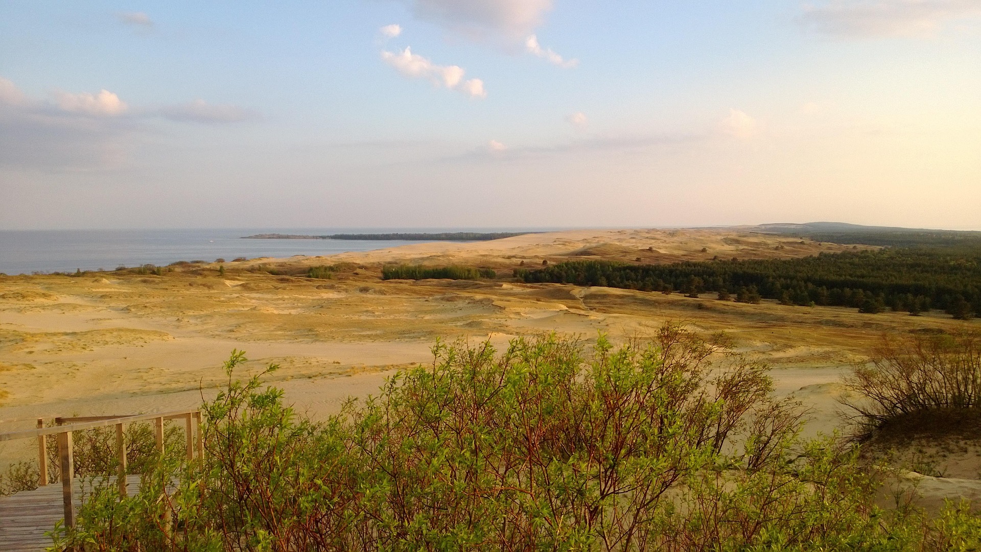 Didesnis Skaidrumas Viešuosiuose Pirkimuose