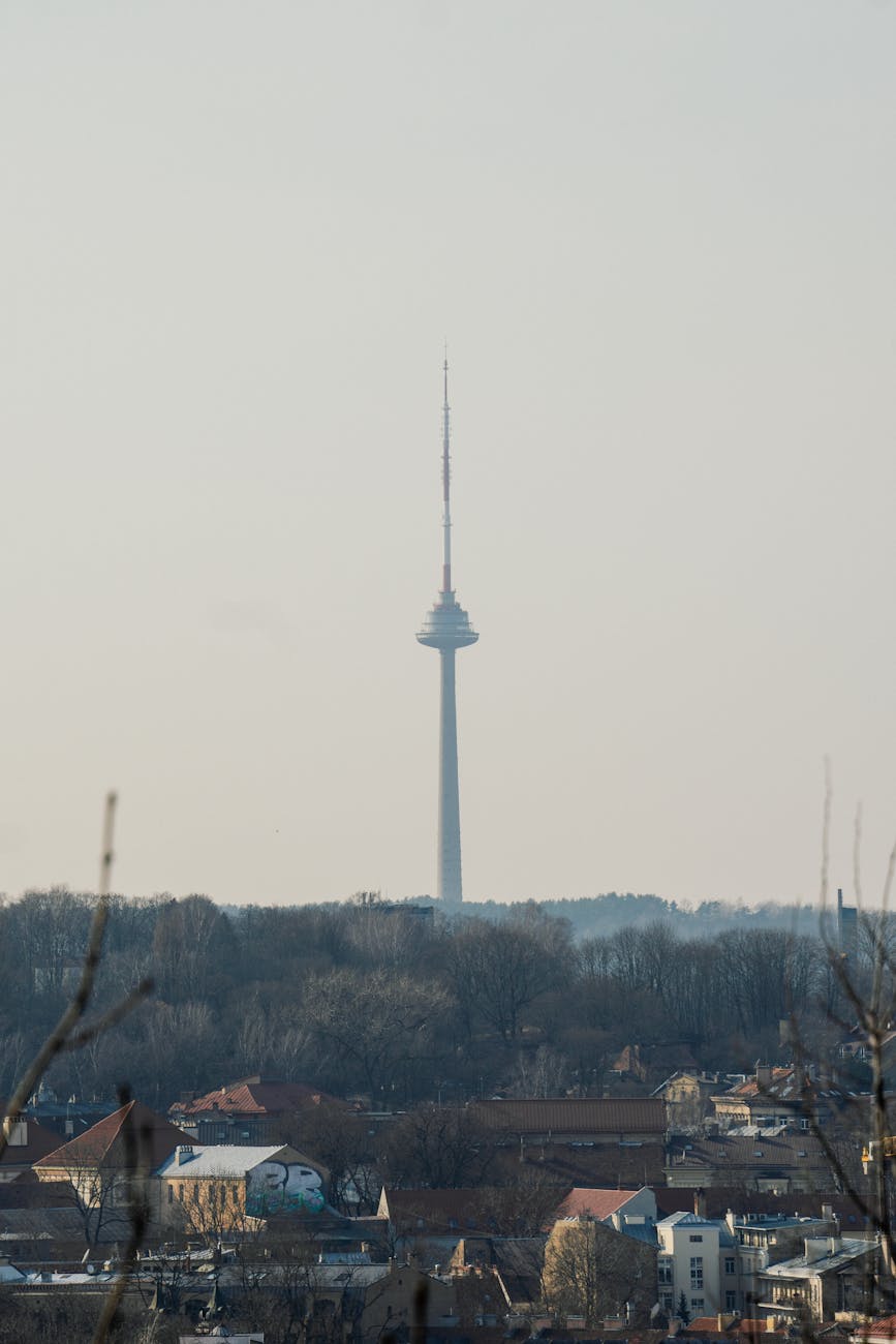 Viešųjų pirkimų tarnybos istorija: nuo įkūrimo iki šių dienų