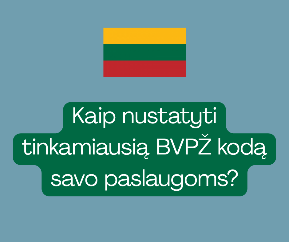 Kaip nustatyti tinkamiausią BVPŽ kodą savo paslaugoms?